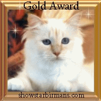 SS Gold Award (46050 bytes)