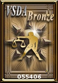 VSDA Web Awards Bronze