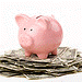 Budget icon, piggybank