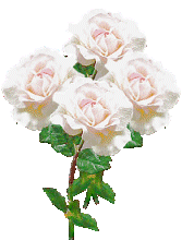 Christmas Rose (15779 bytes)