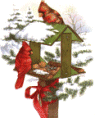 xanimal05.gif (8713 bytes)