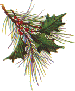 Holly berry branch (4844 bytes)